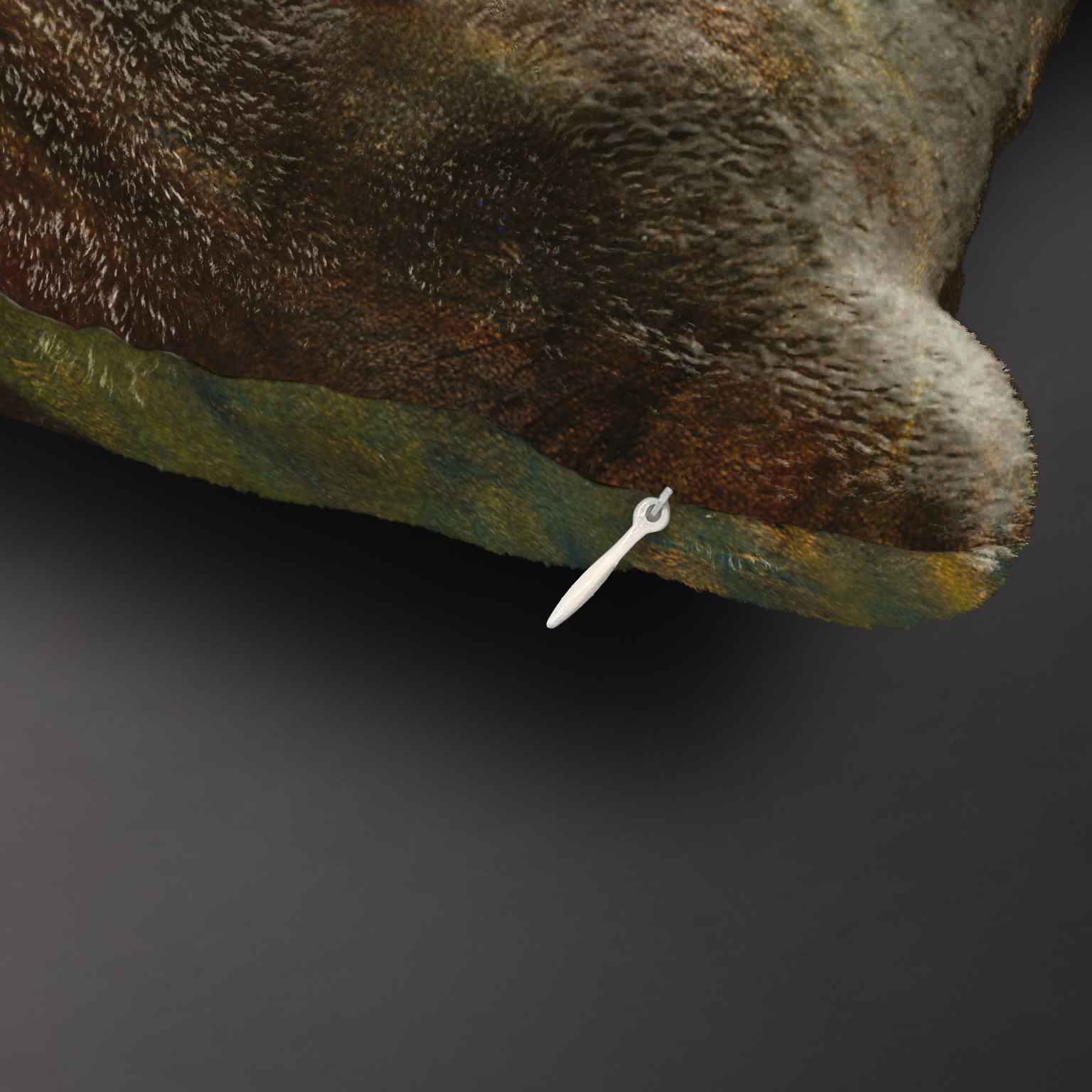 Pledas M. K. Čiurlionis „Bičiulystė