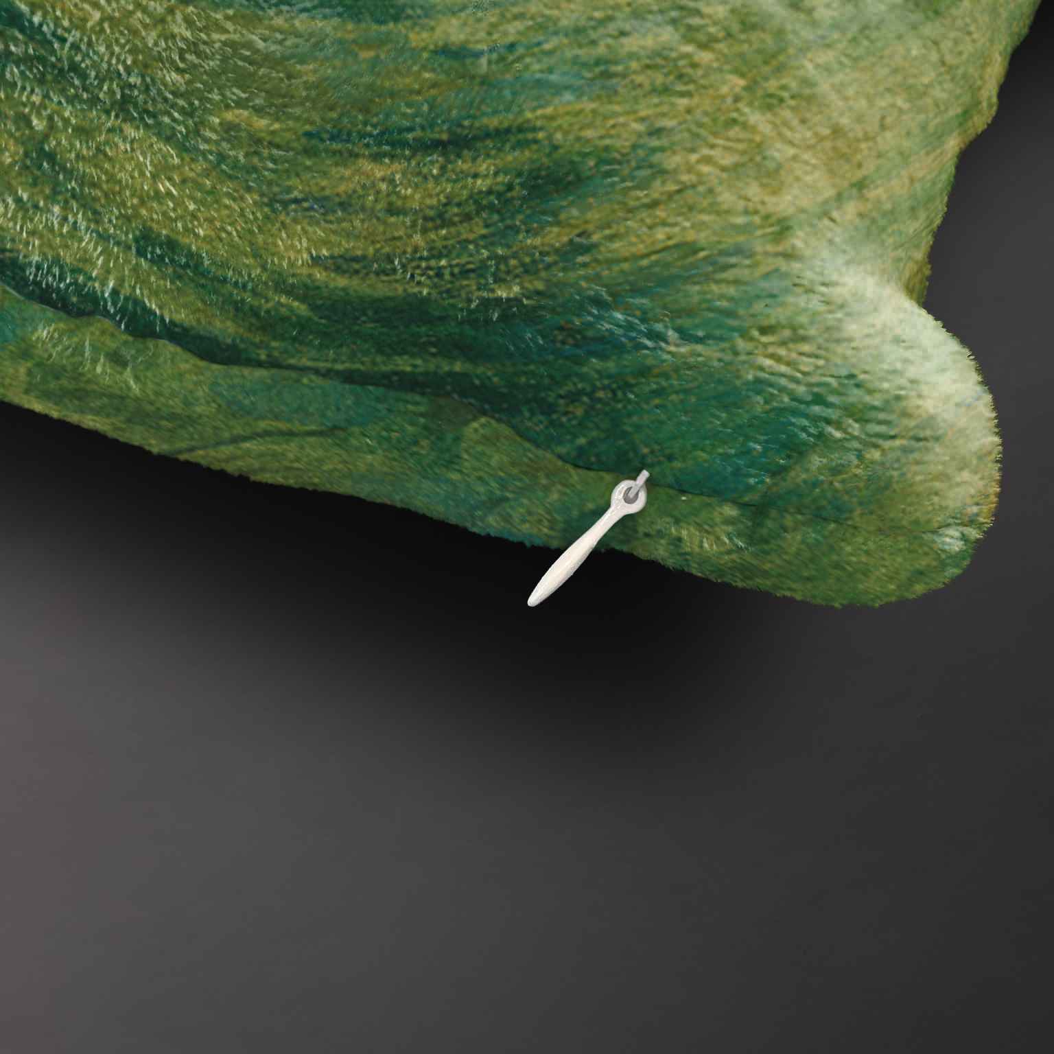 Pledas M. K. Čiurlionis „Saulė eina Svarstyklių ženklu