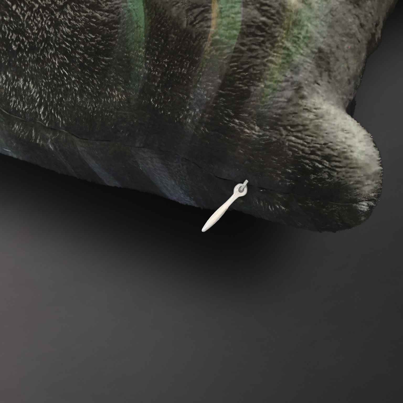 Pledas M. K. Čiurlionis „Žaibai