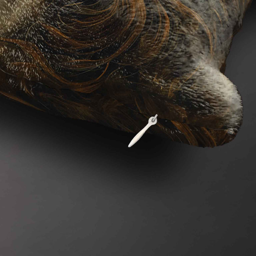 Pledas Imagine „Pagonė