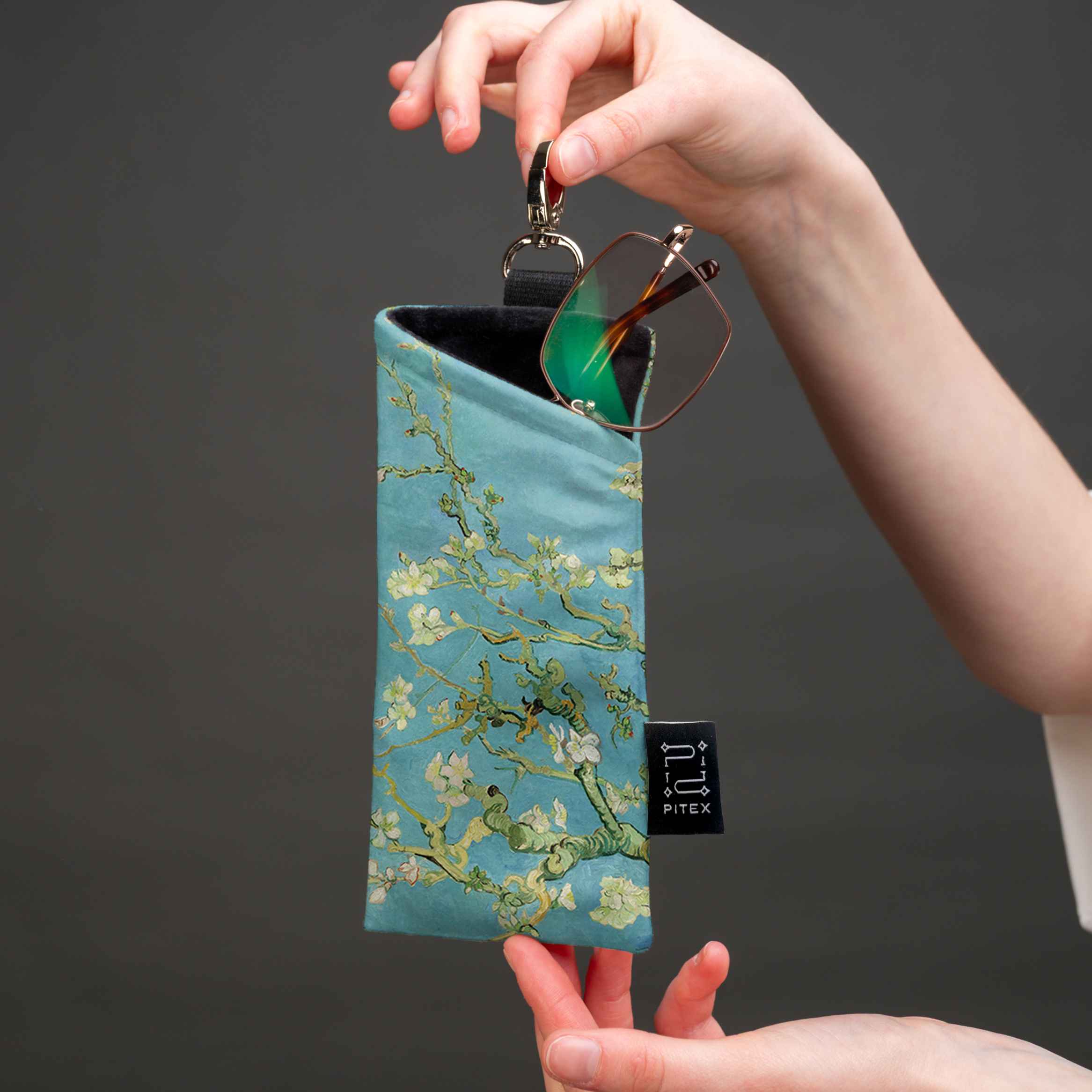 Akinių dėklas Vincent van Gogh „Almond Blossom