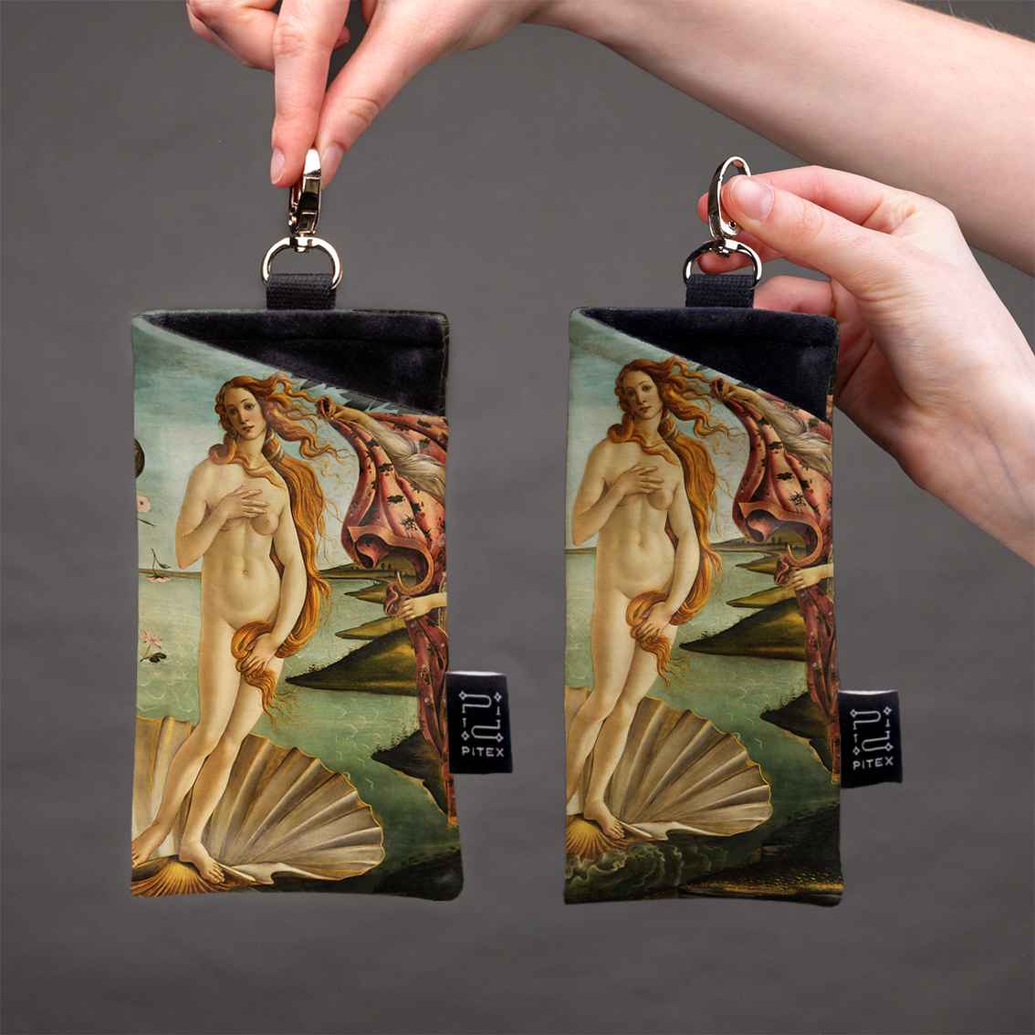 Akinių dėklas Sandro Botticelli „The Birth of Venus