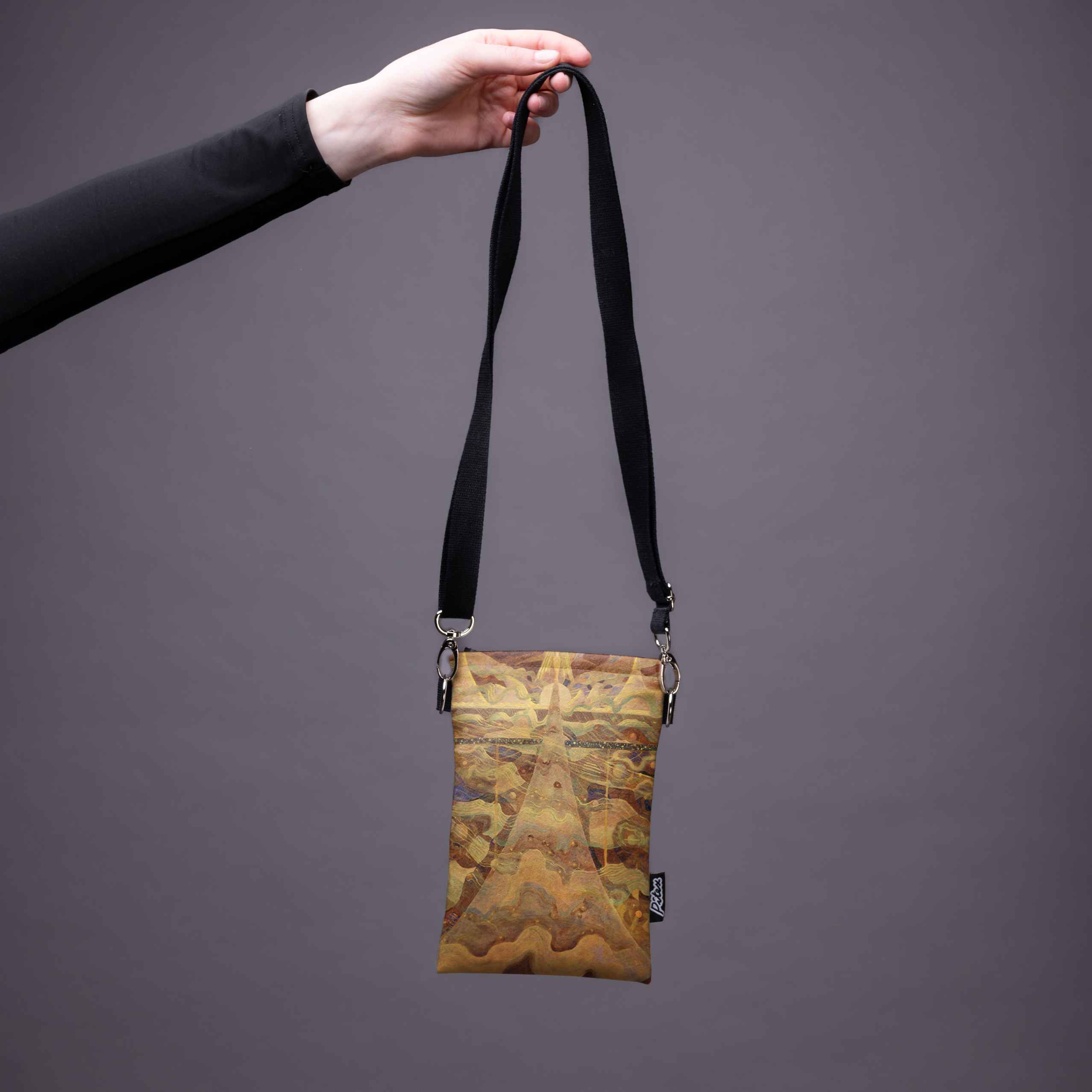 Phone case MK Čiurlionis