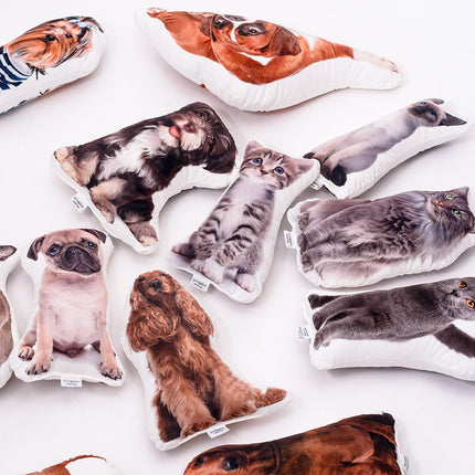 Pagalvėlė su jūsų nuotrauka