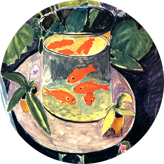 The Goldfish