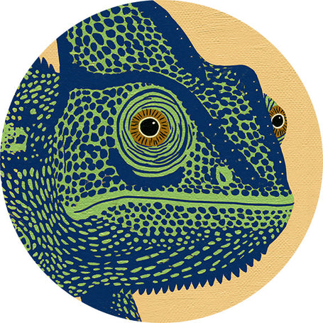 Chameleonas