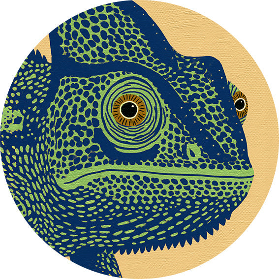 Chameleonas