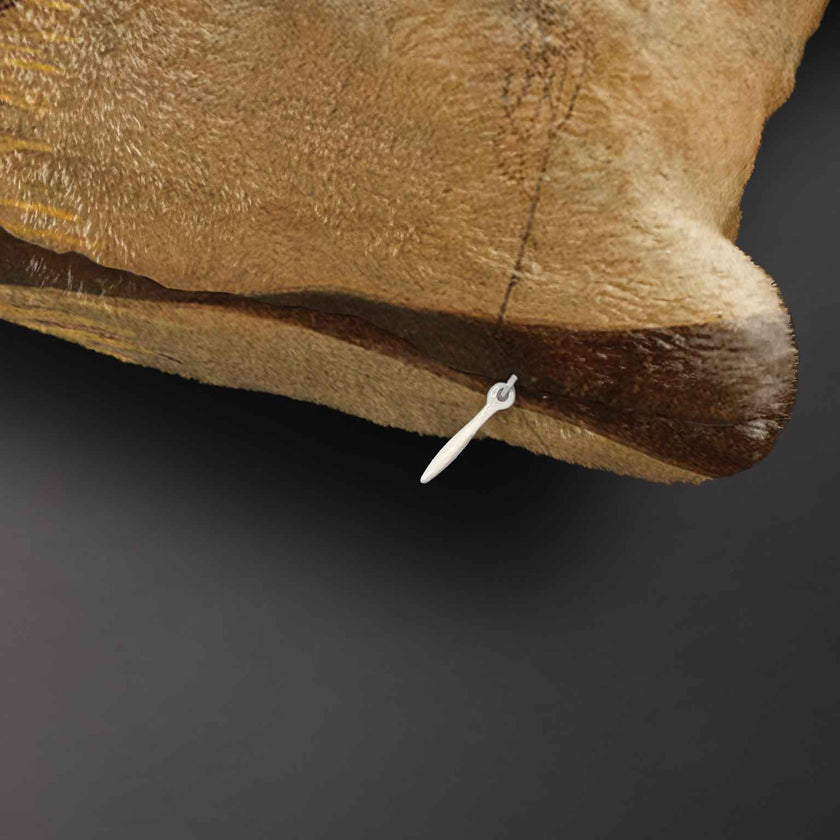 Plaid MK Čiurlionis 