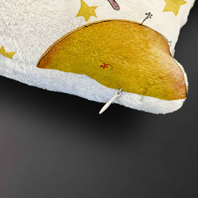 Pledas Antoine de Saint-Exupéry Mažasis princas „Paukščiai