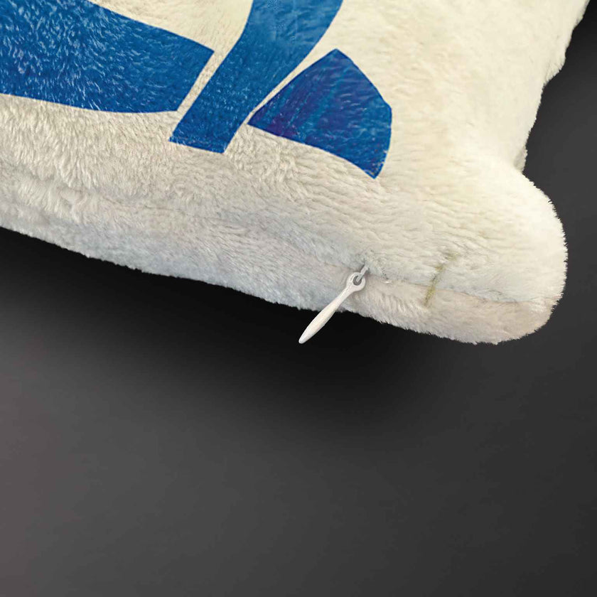 Pledas Henri Matisse „Blue Nude