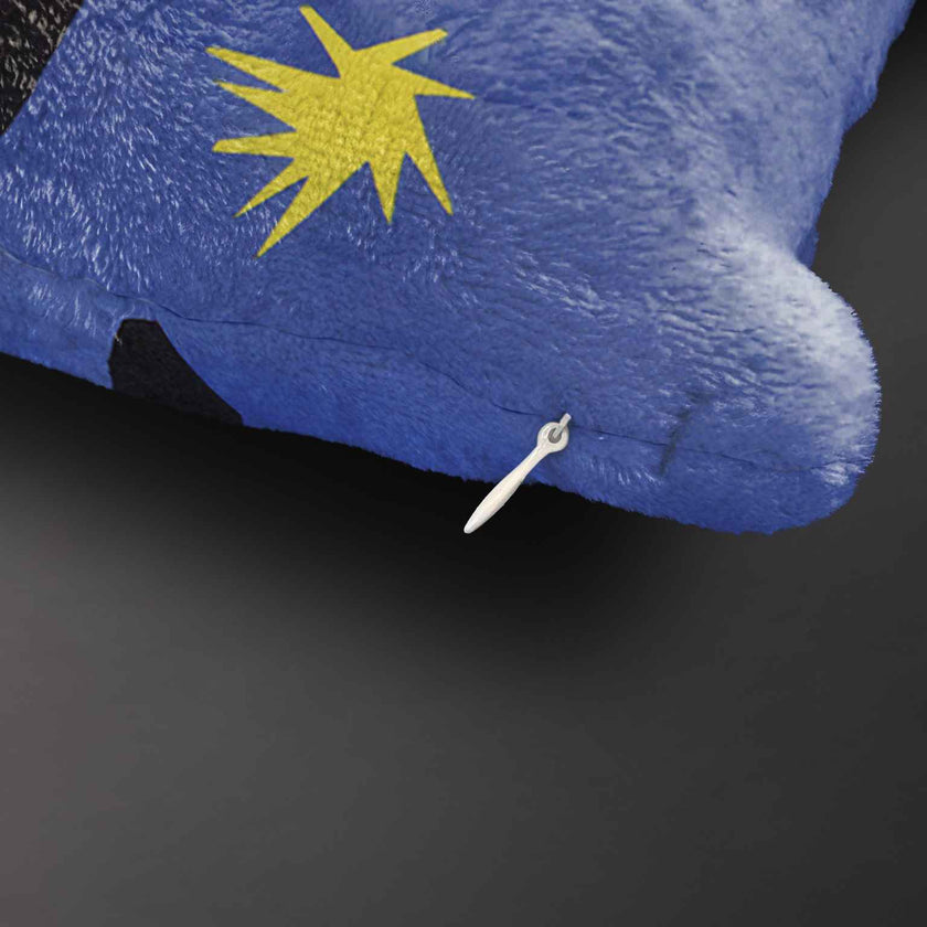 Pledas Henri Matisse „Icarus