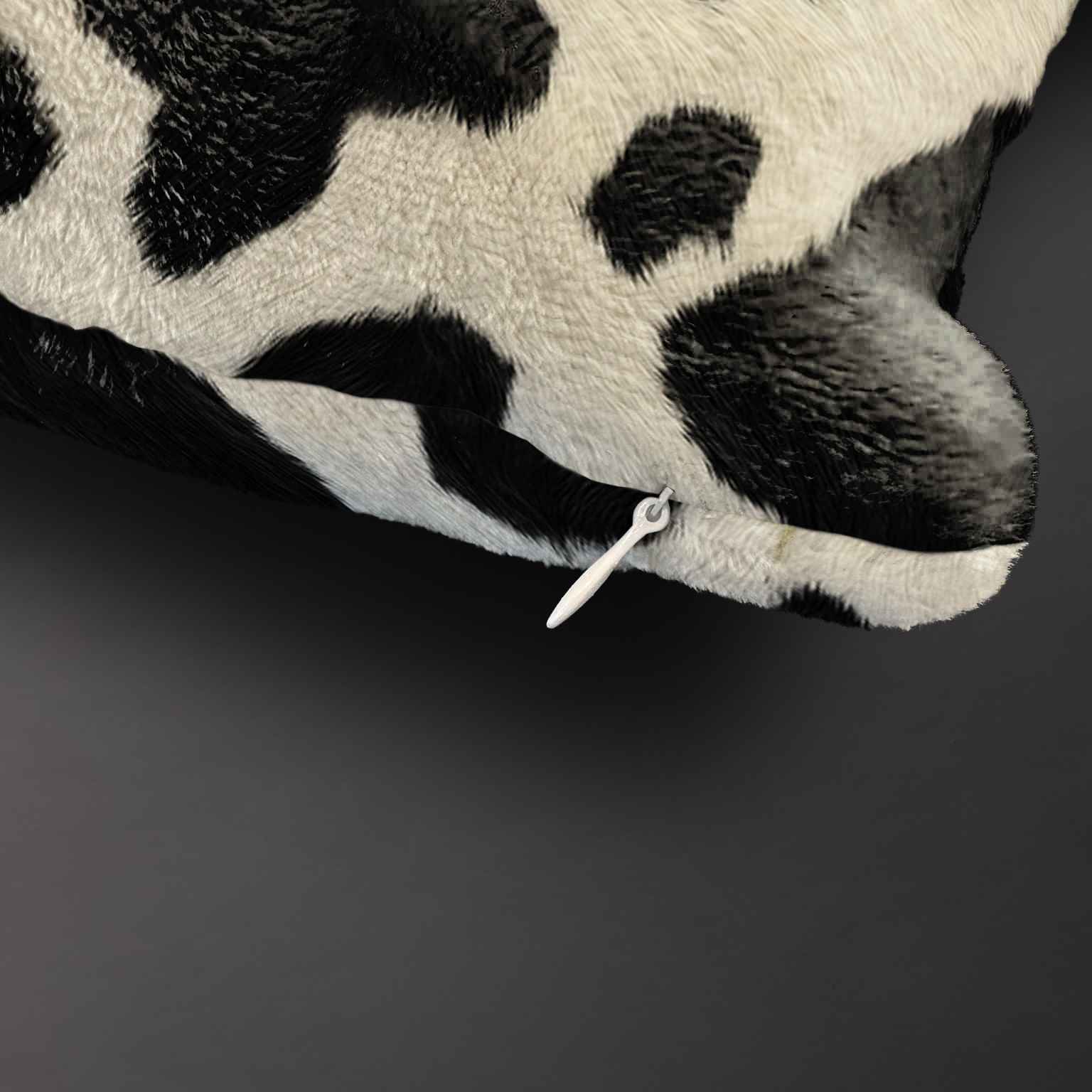 Pledas Classy „Karvės raštas