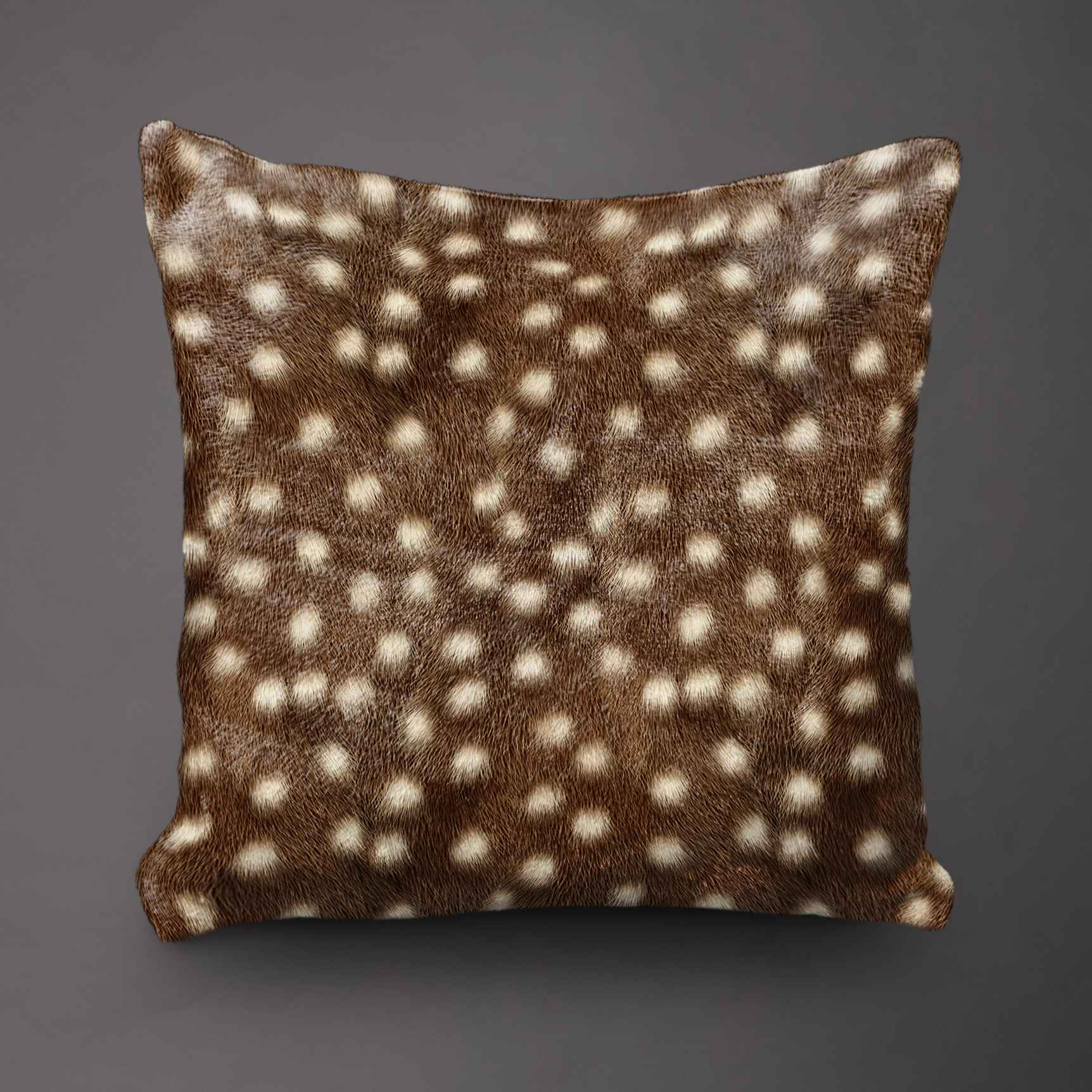 Pledas Classy „Elnio raštas