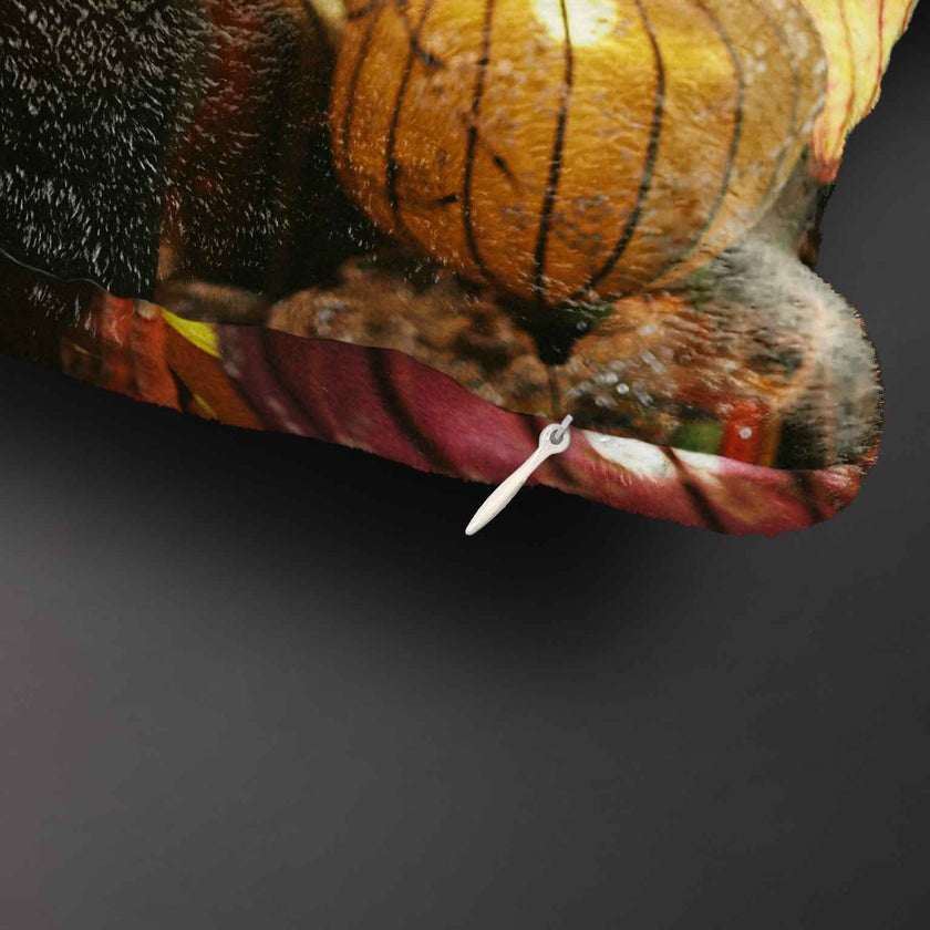 Pledas su jūsų nuotrauka