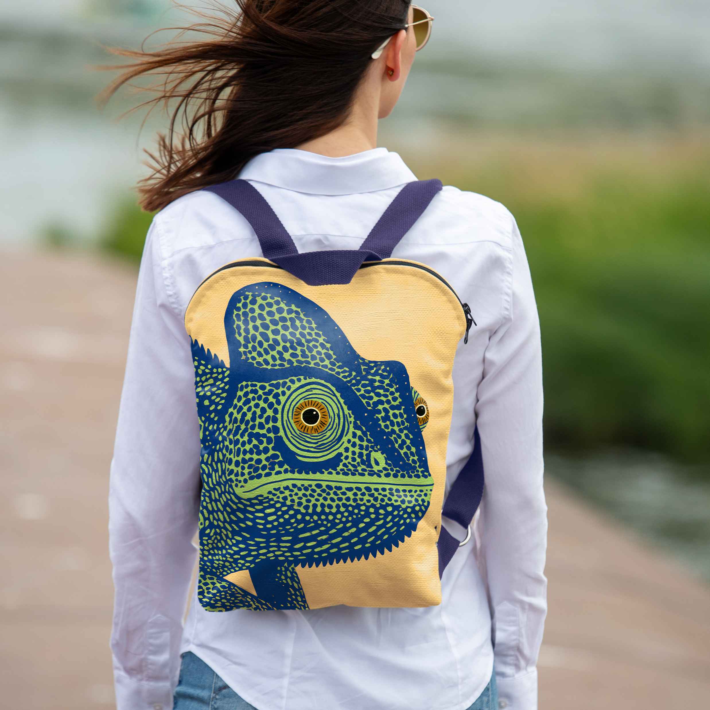 Backpack Imagine 