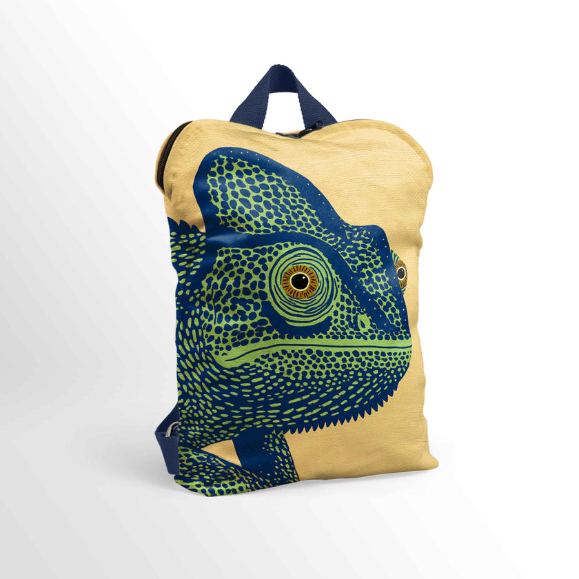 Backpack Imagine 