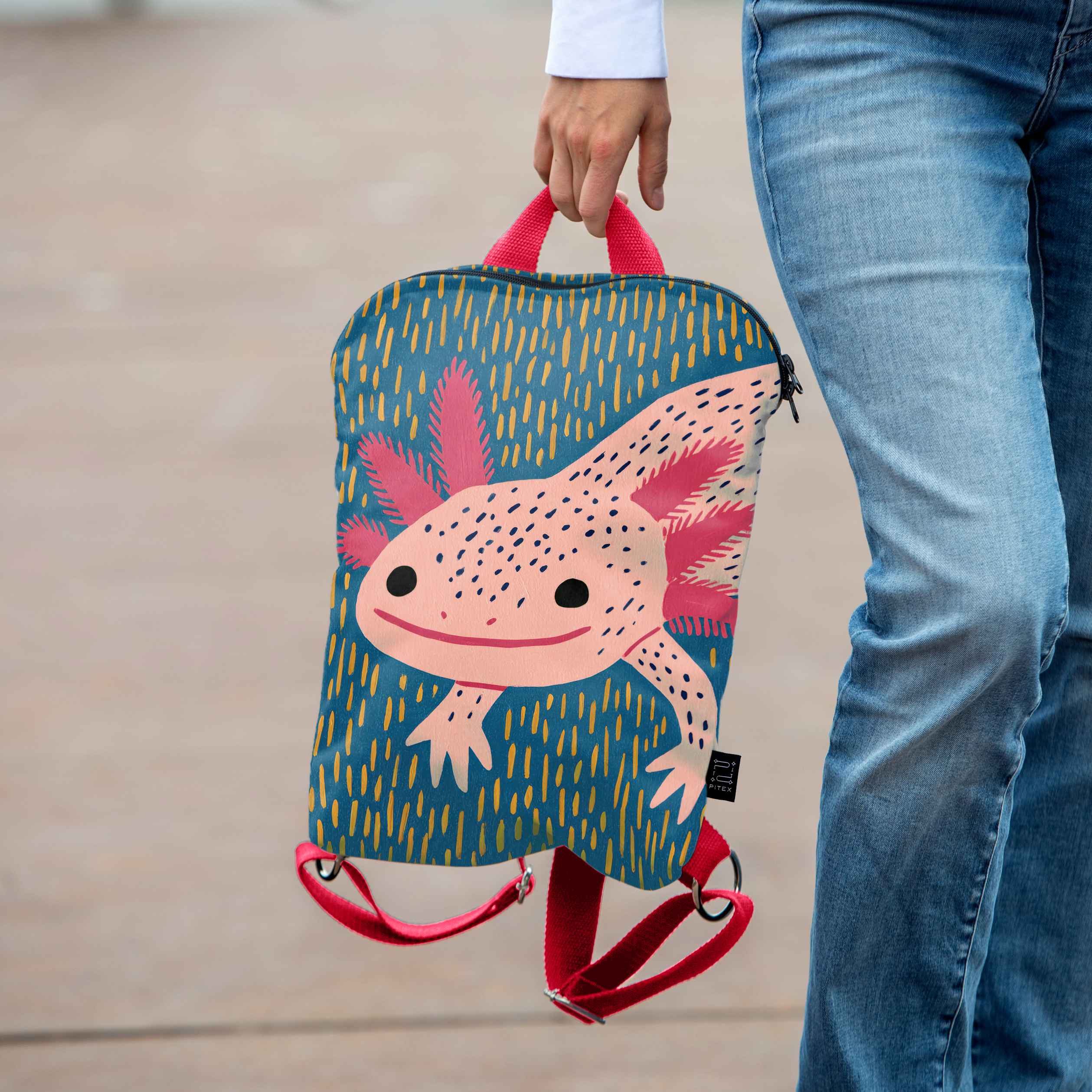 Backpack Imagine 