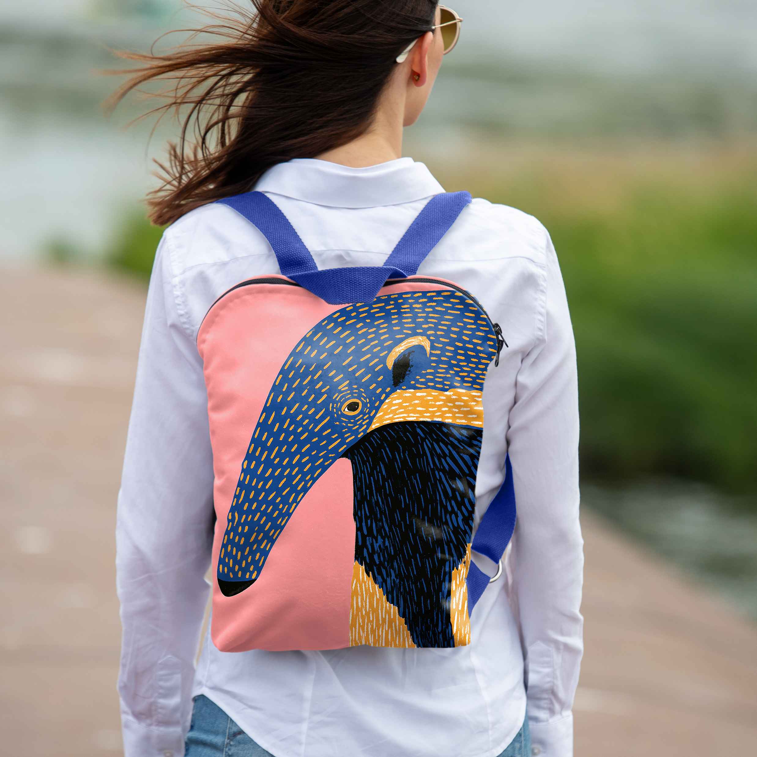 Backpack Imagine 