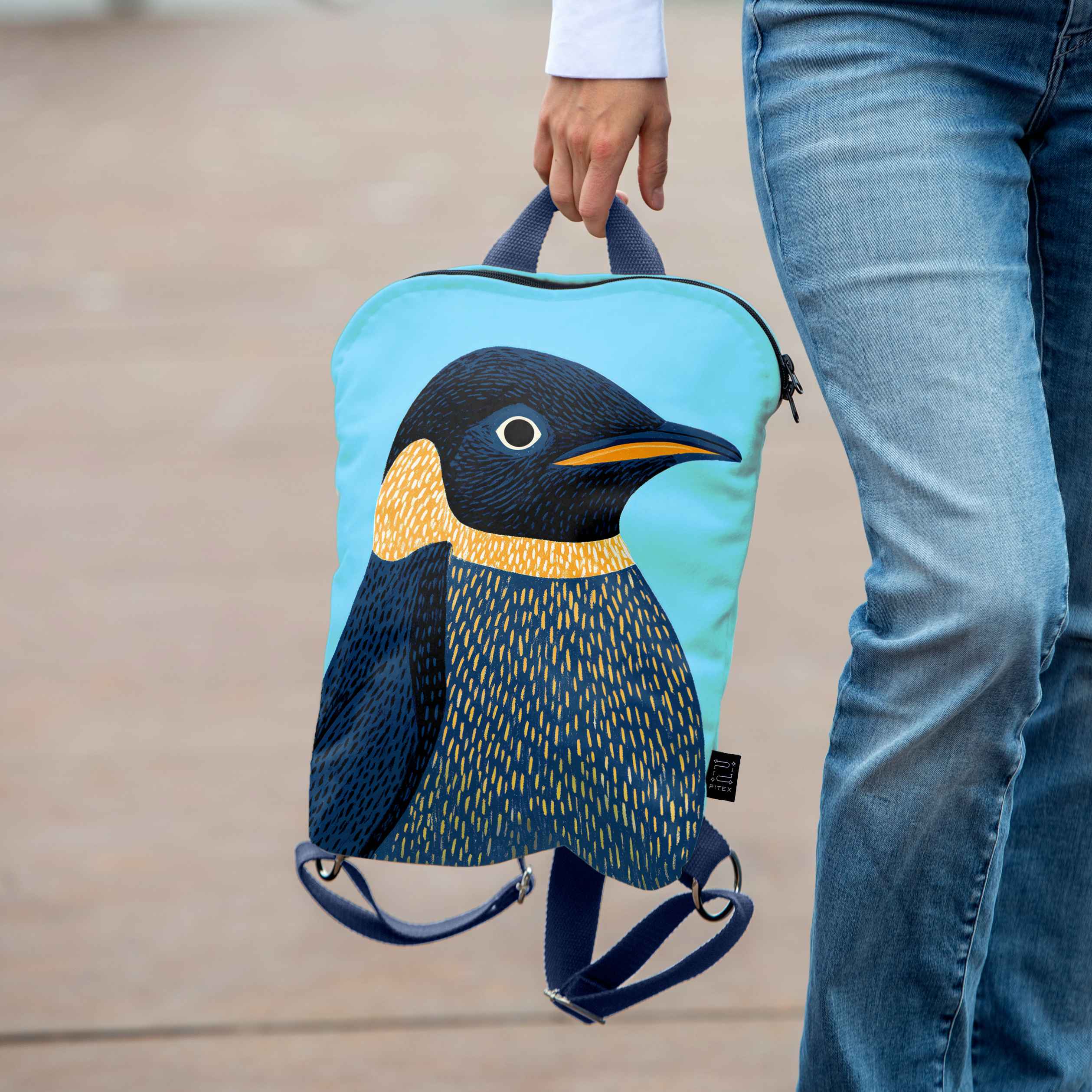 Backpack Imagine 