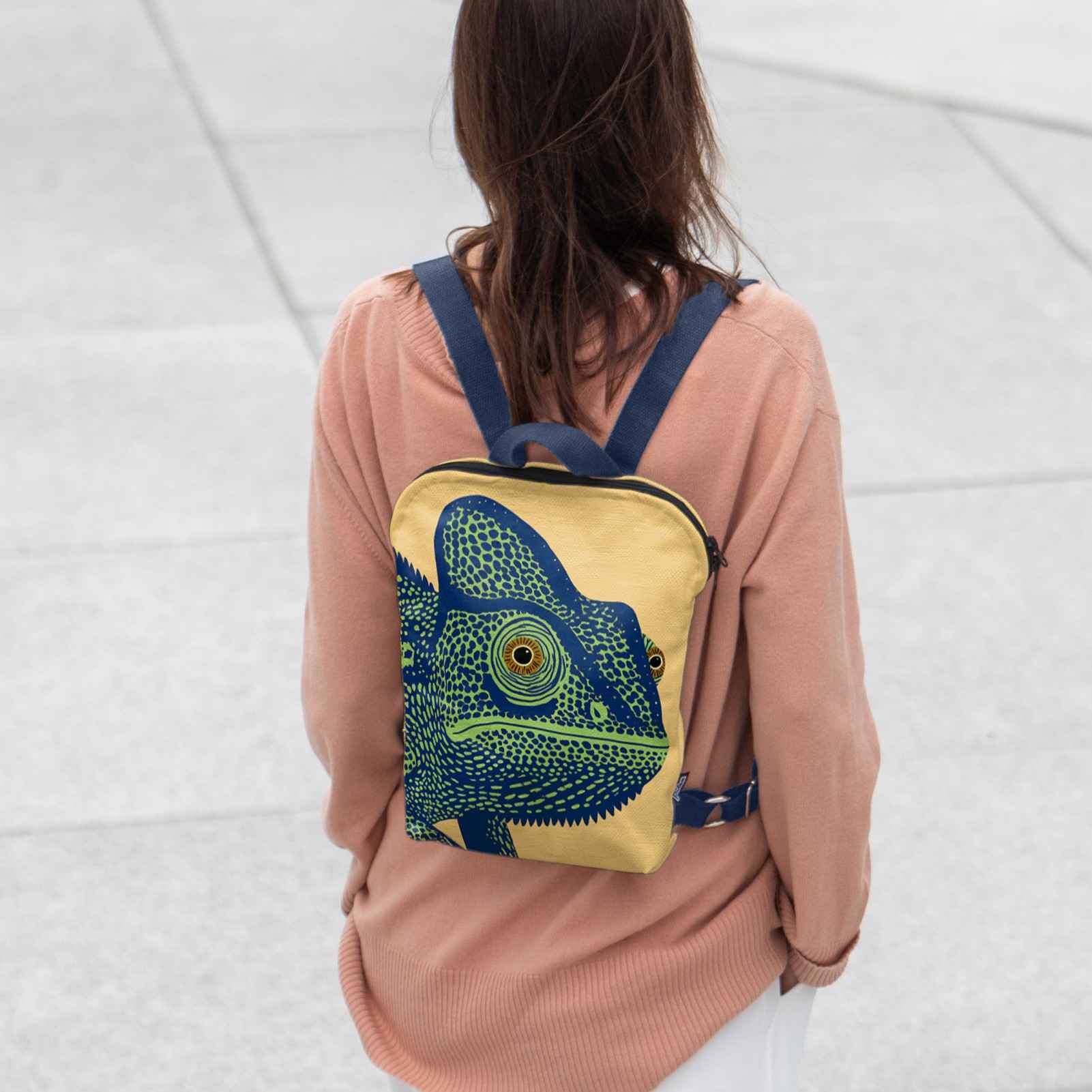 Backpack Imagine 