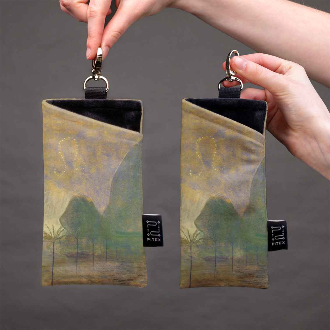 Akinių dėklas M. K. Čiurlionis 