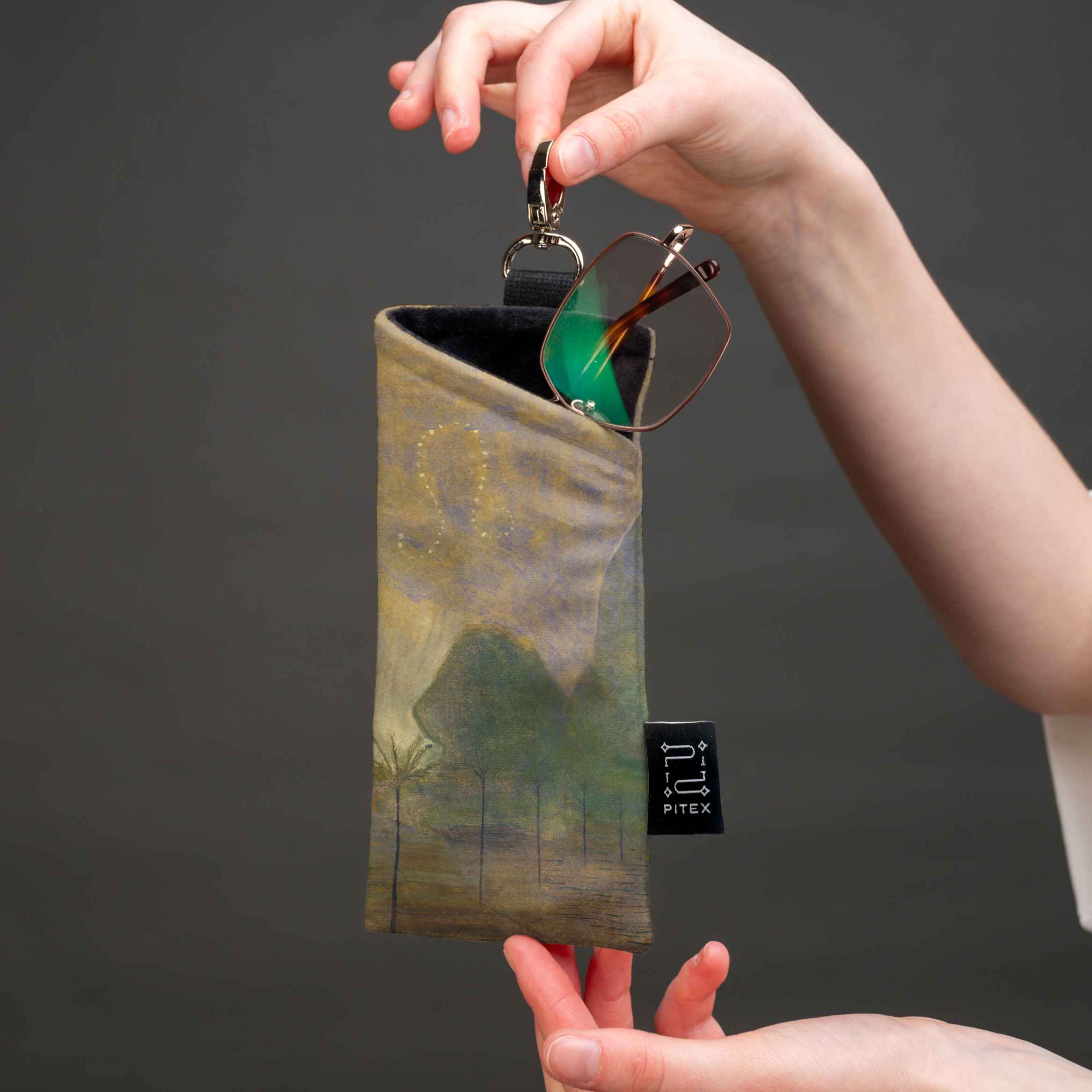 Akinių dėklas M. K. Čiurlionis 