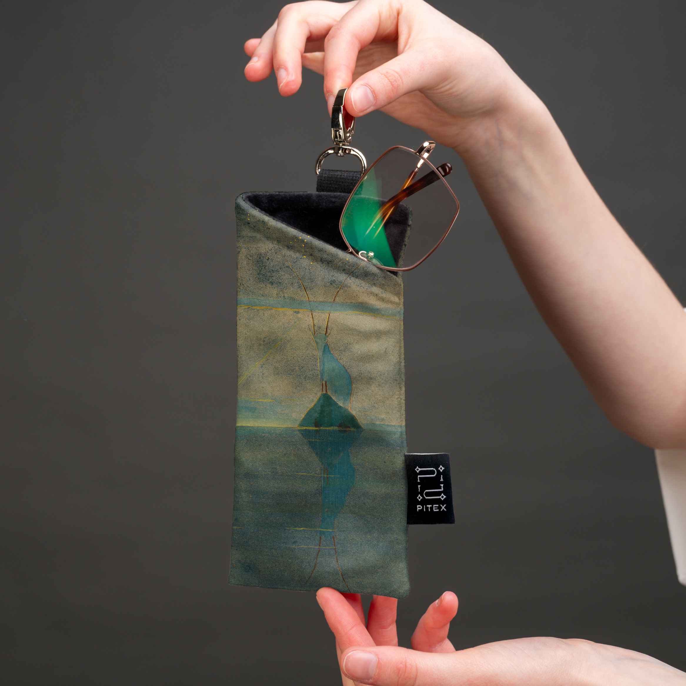 Akinių dėklas M. K. Čiurlionis 