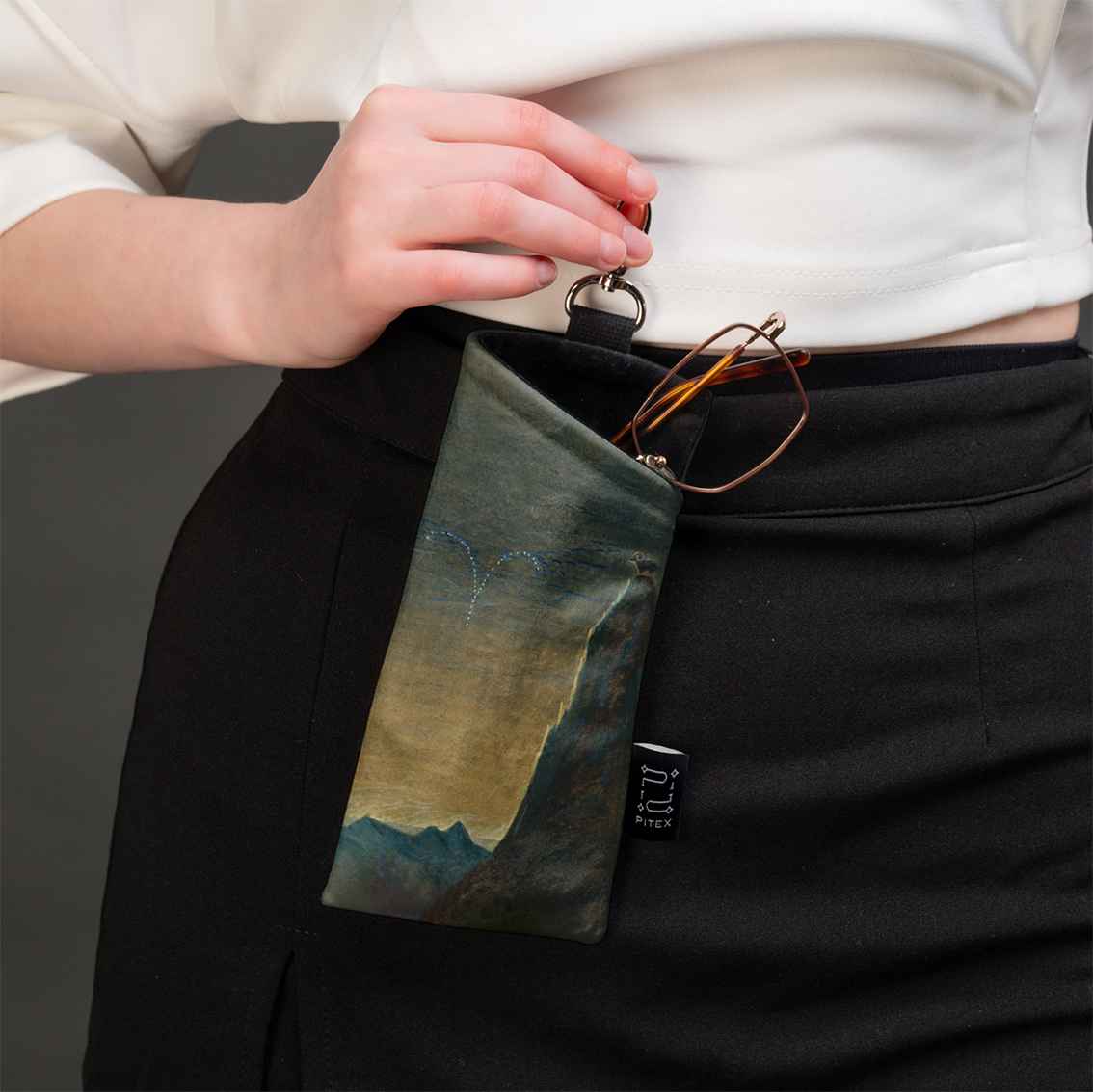 Akinių dėklas M. K. Čiurlionis 