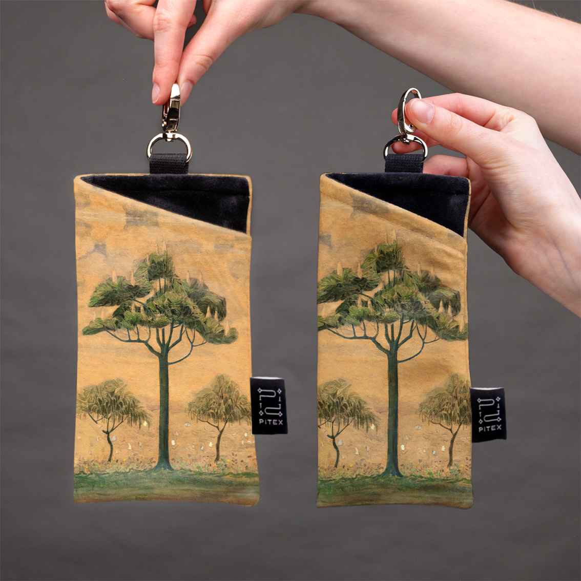 Akinių dėklas M. K. Čiurlionis 