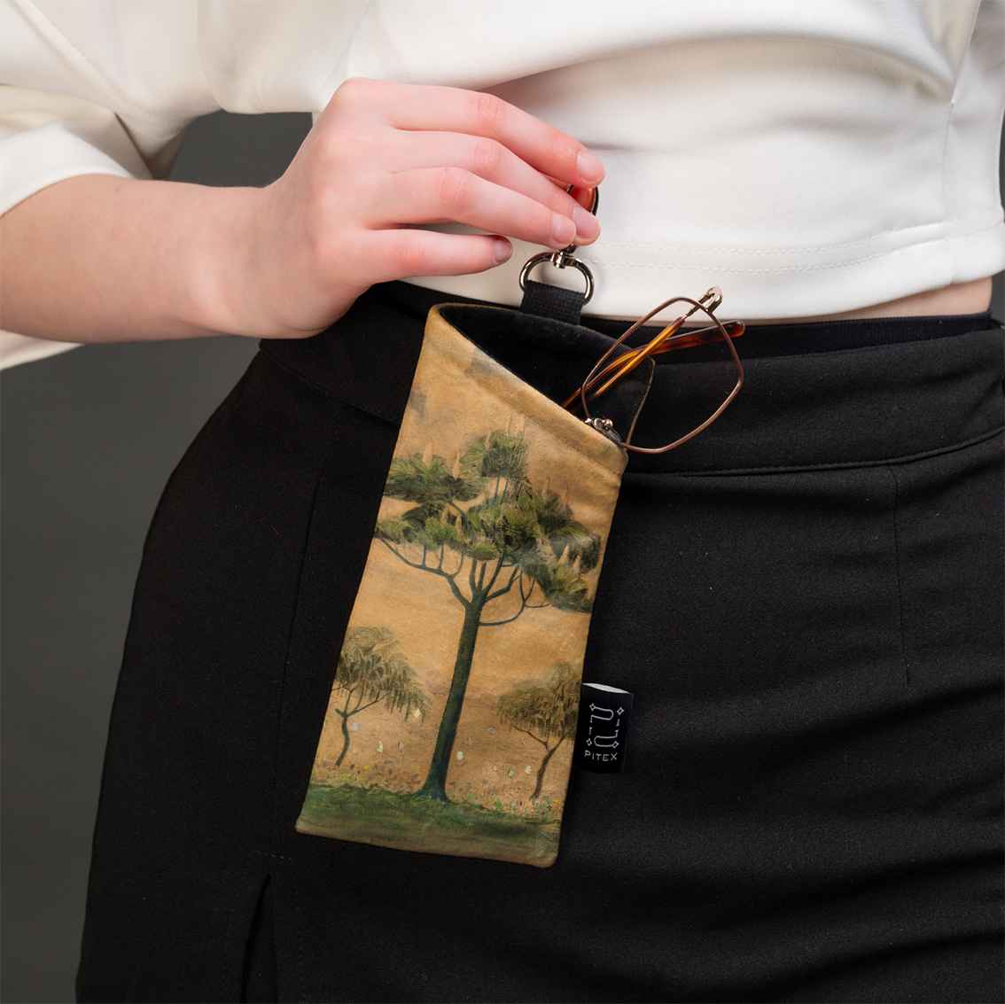 Akinių dėklas M. K. Čiurlionis 