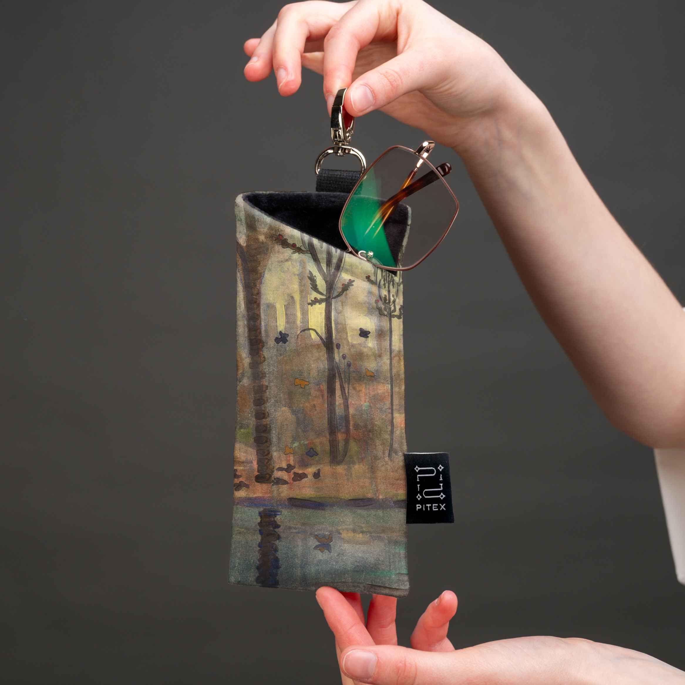 Akinių dėklas M. K. Čiurlionis 