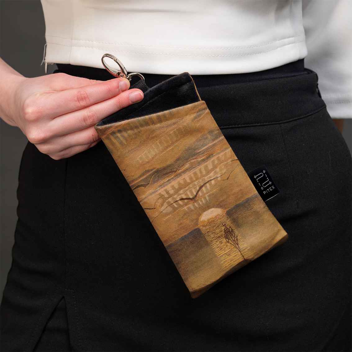 Akinių dėklas M. K. Čiurlionis 