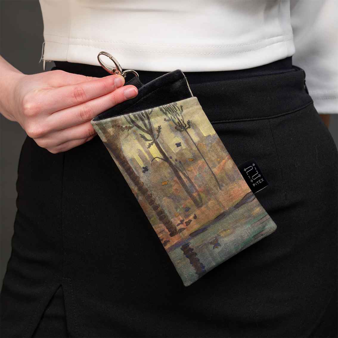 Akinių dėklas M. K. Čiurlionis 