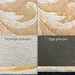 Rug Imagine 