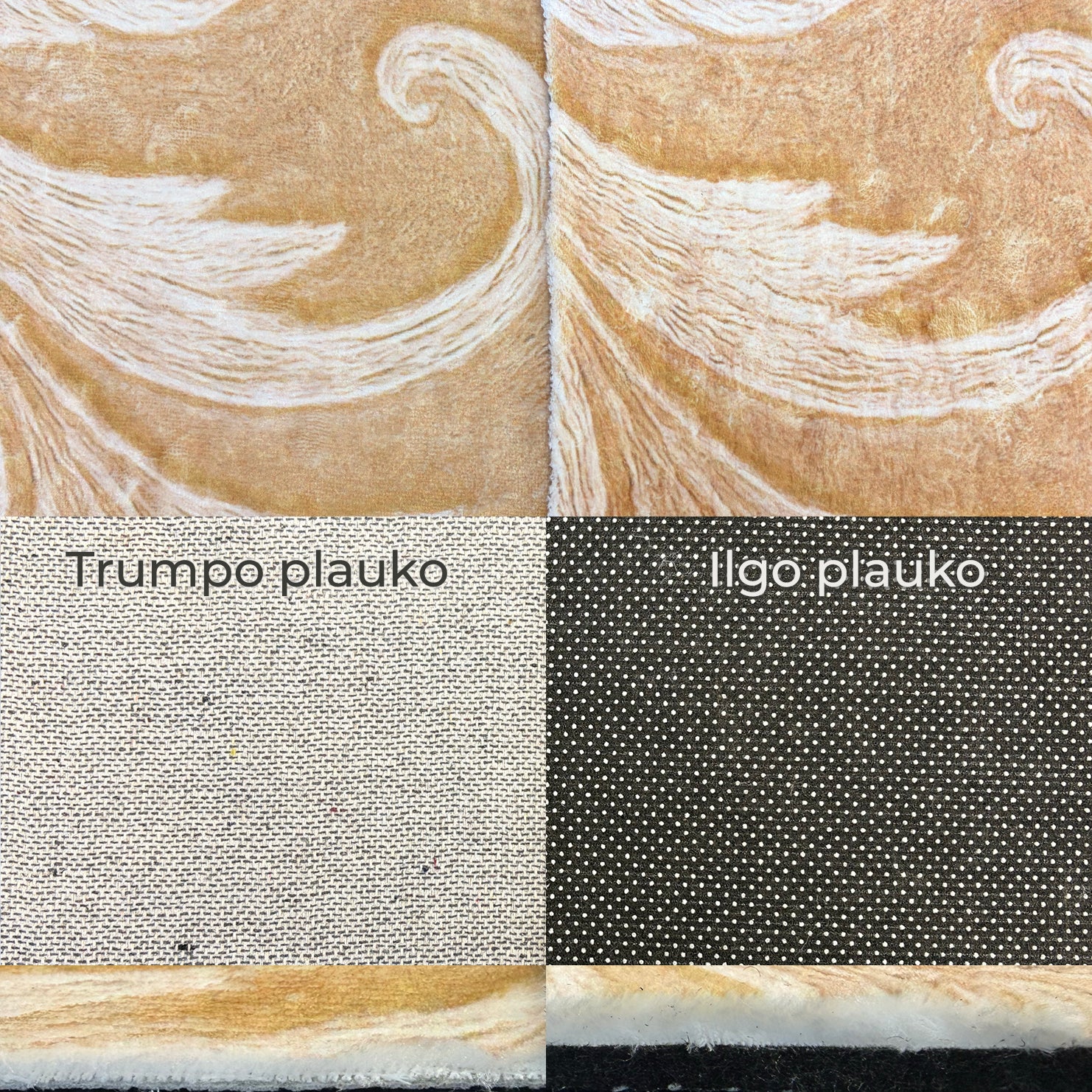Rug Imagine 