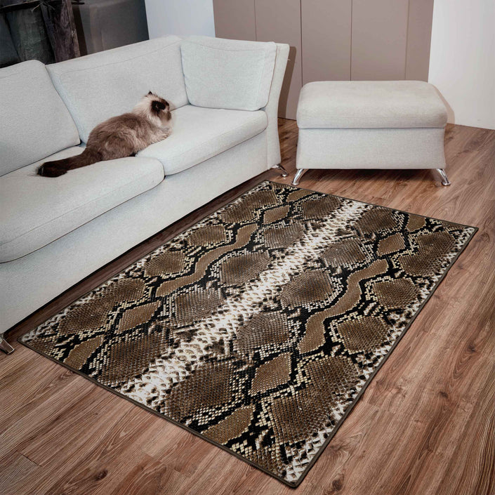 Rug Imagine 
