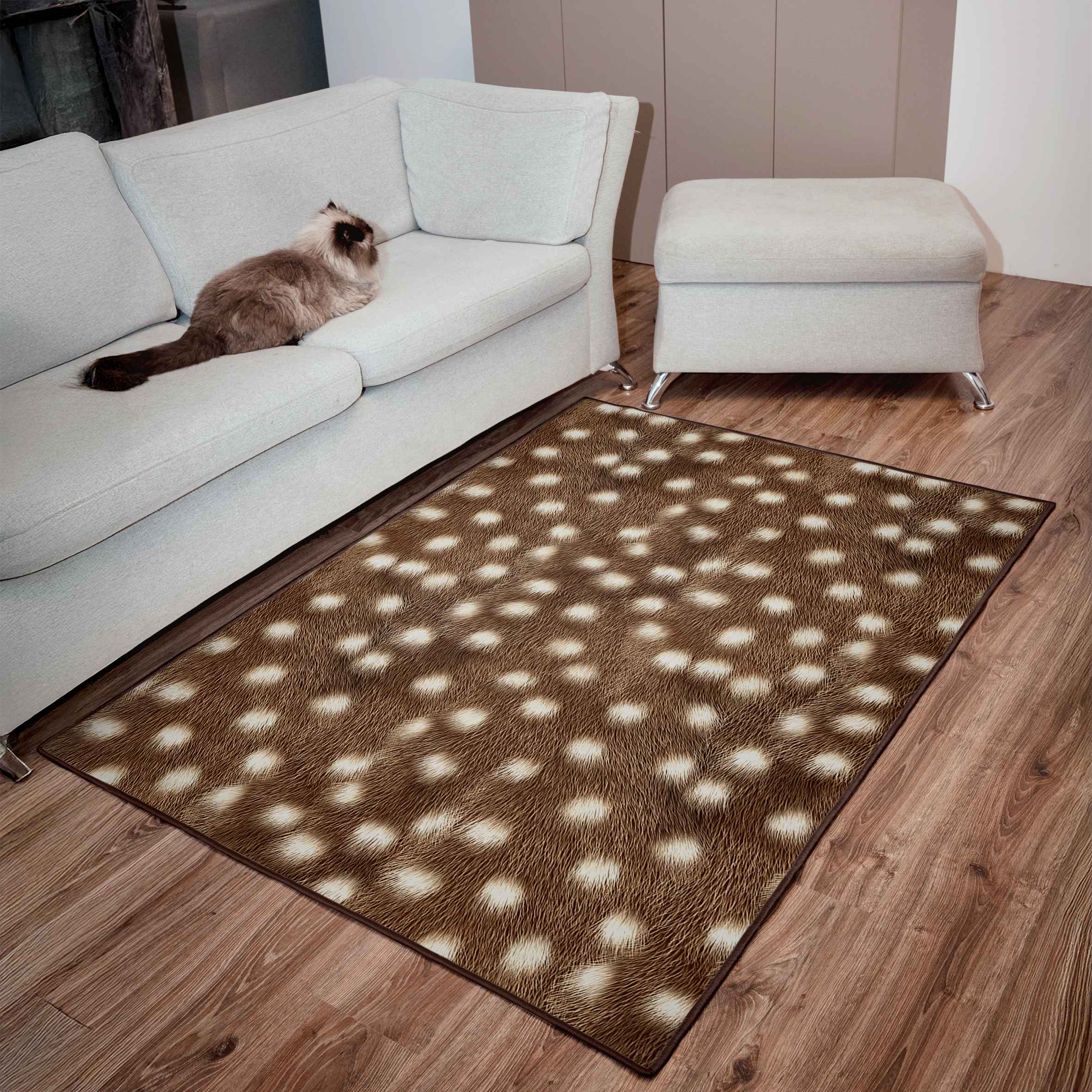 Rug Imagine 