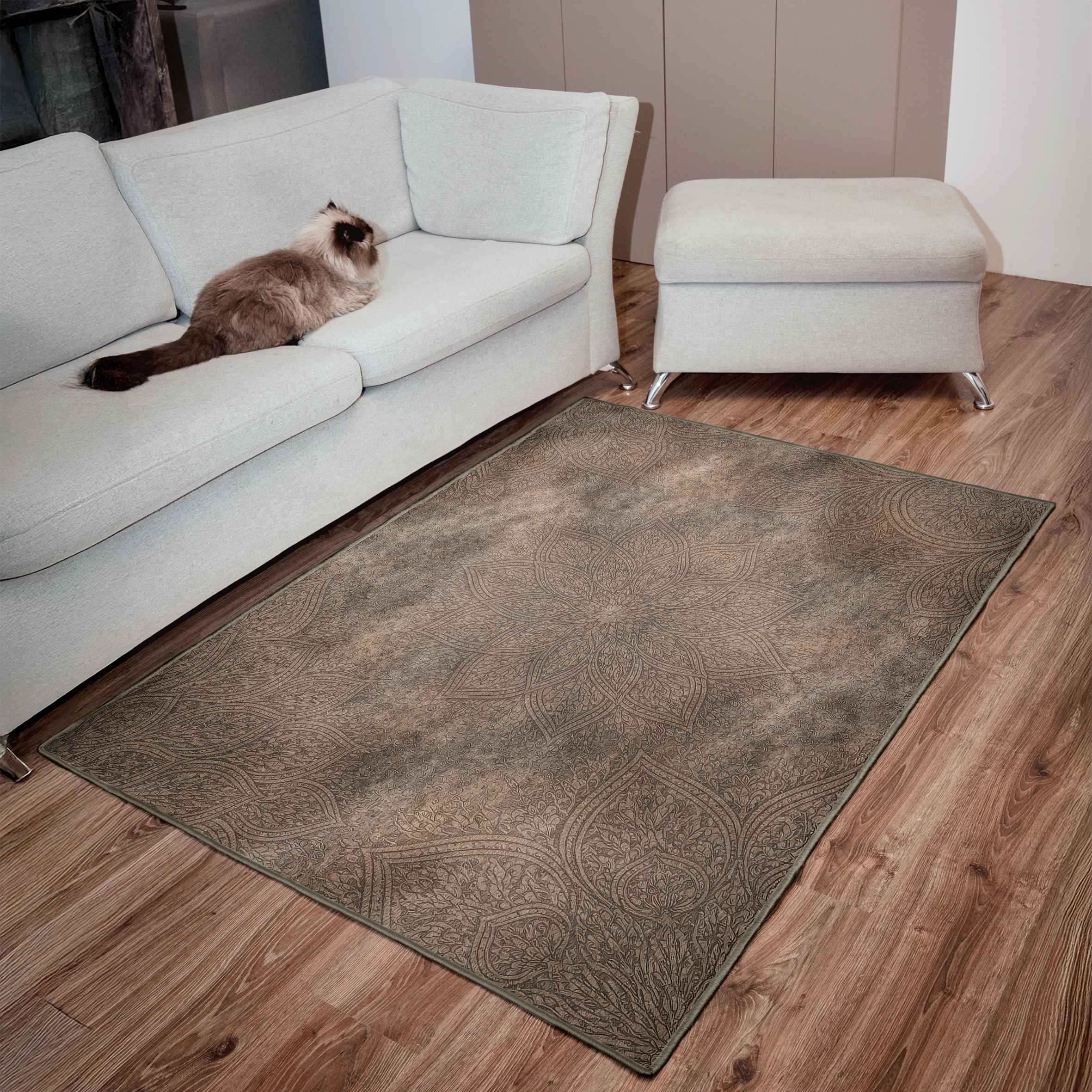 Rug Imagine 