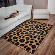 Rug Imagine 