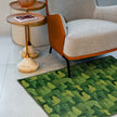 Rug Imagine 