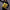Shoulder bag Vincent van Gogh 