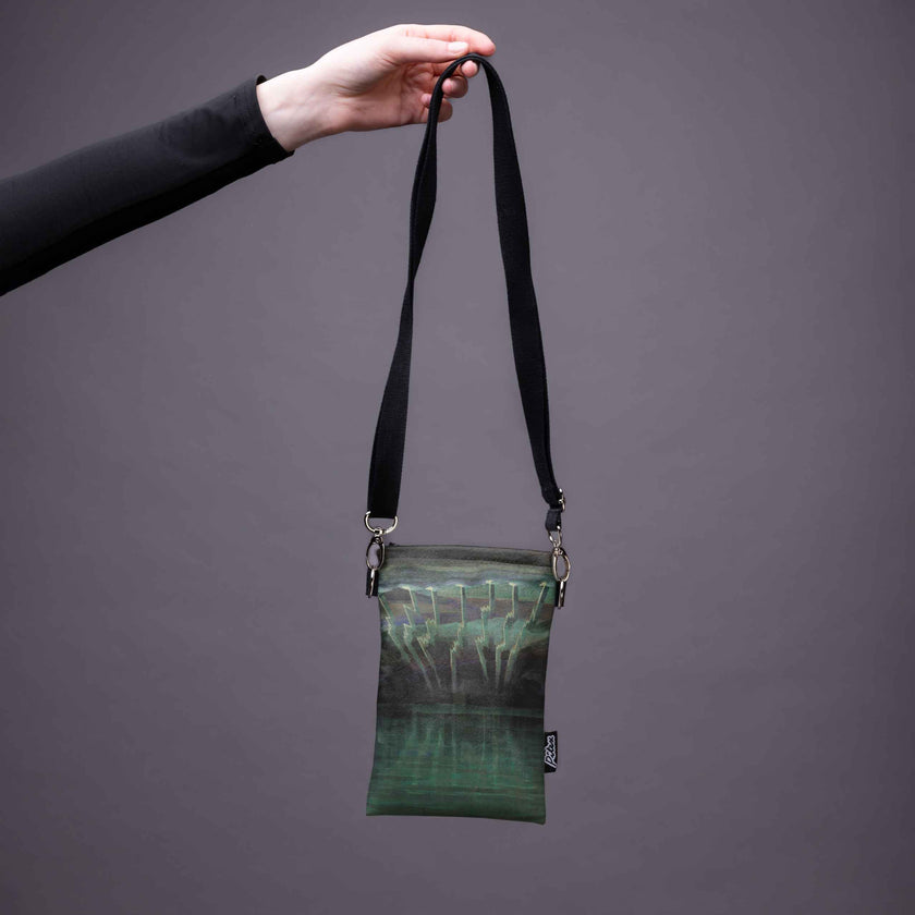 Phone case MK Čiurlionis 