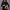 Phone bag Vincent Van Gogh 