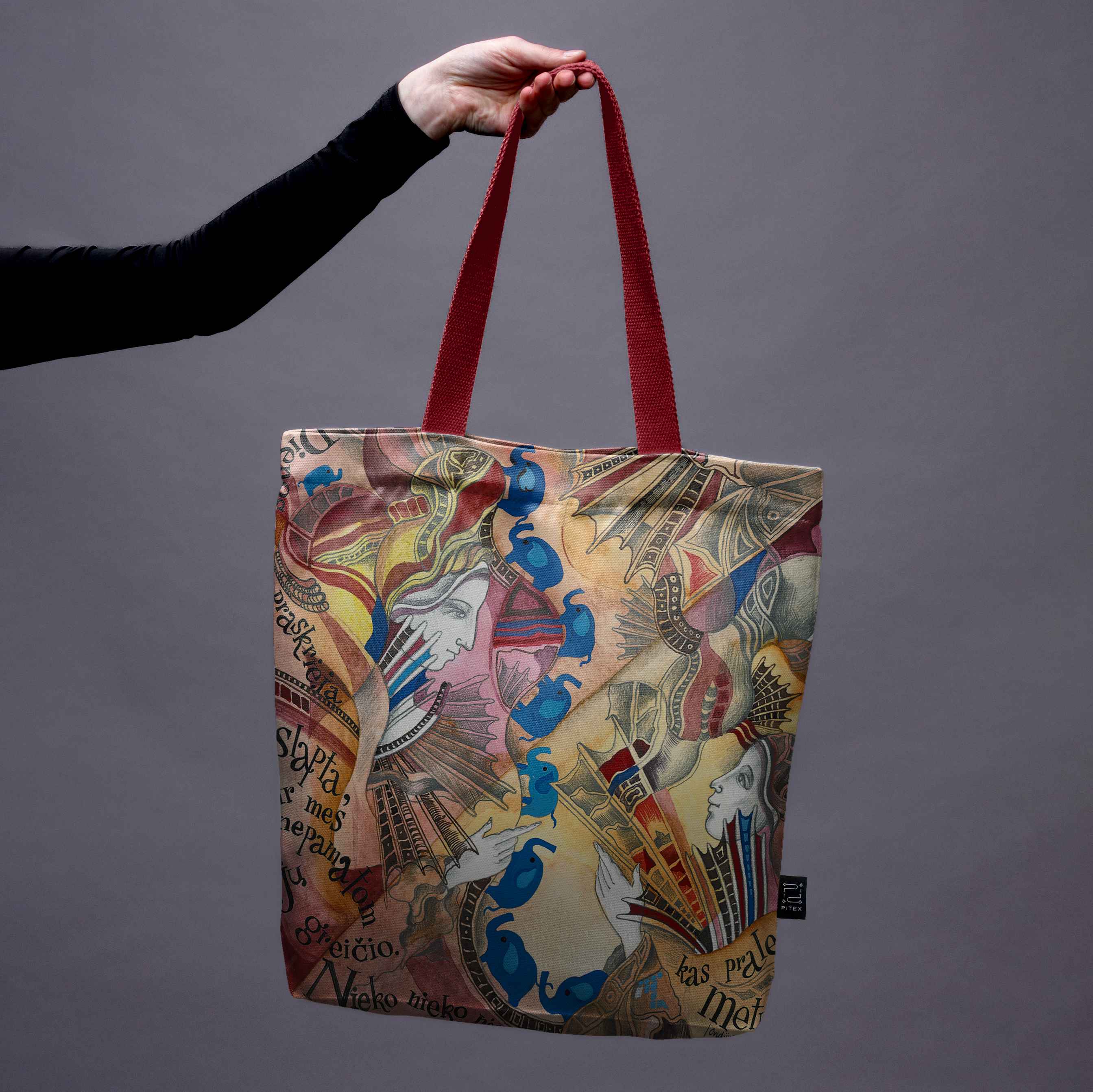 Pirkinių krepšys Aušra Čapskytė „Mėlynų dramblių kelionė