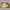 Oblong Placemats 