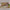 Oblong Placemats 