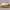 Oblong Placemats 