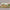 Oblong Placemats 