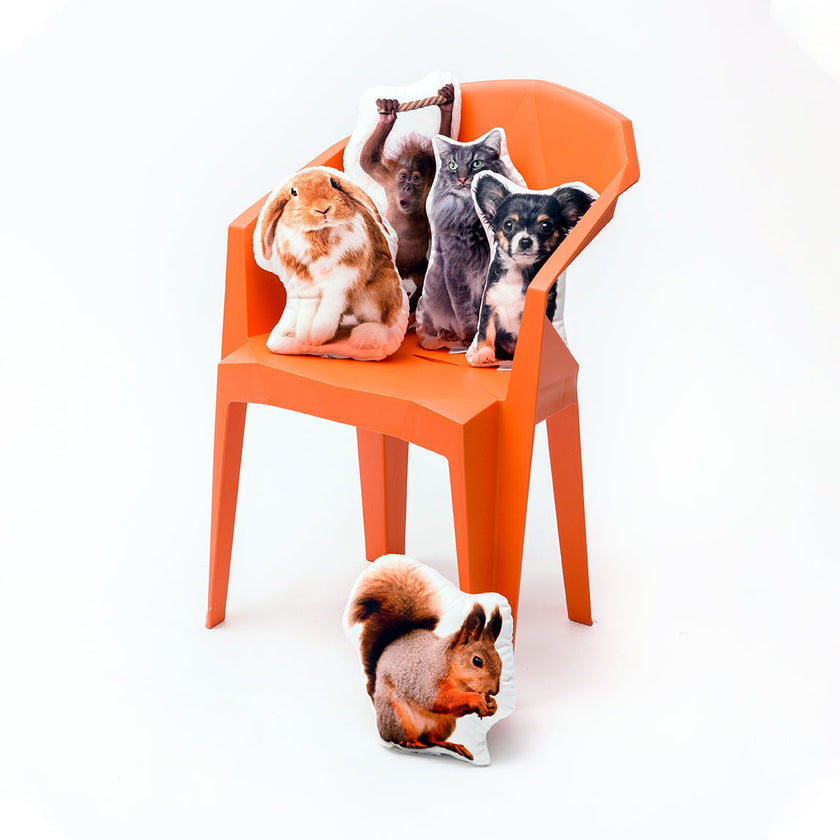 Pillow with your photo