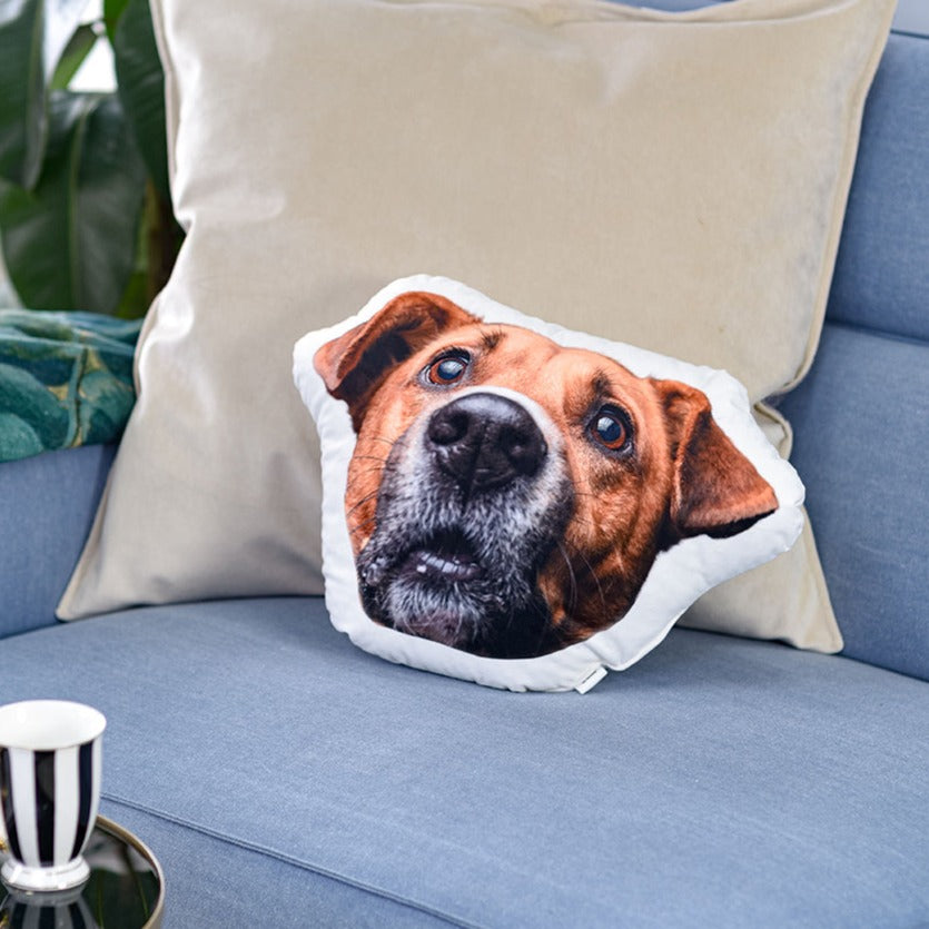Pillow with a photo of a pet's face